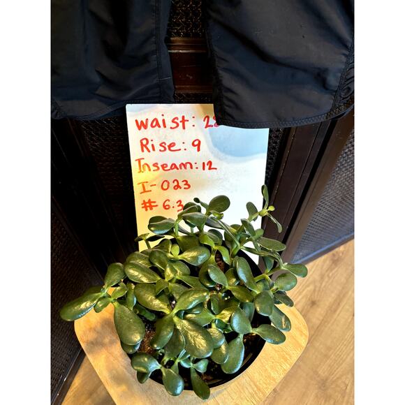 Women,s ,Black ,Zella, Workout, Short, Size Small - Picture 4 of 4